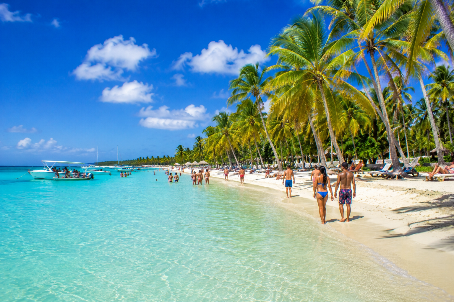 Saona Island Paradise – Catamaran, Beach & Natural Pool